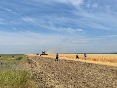 День Поля в Жирновском районе